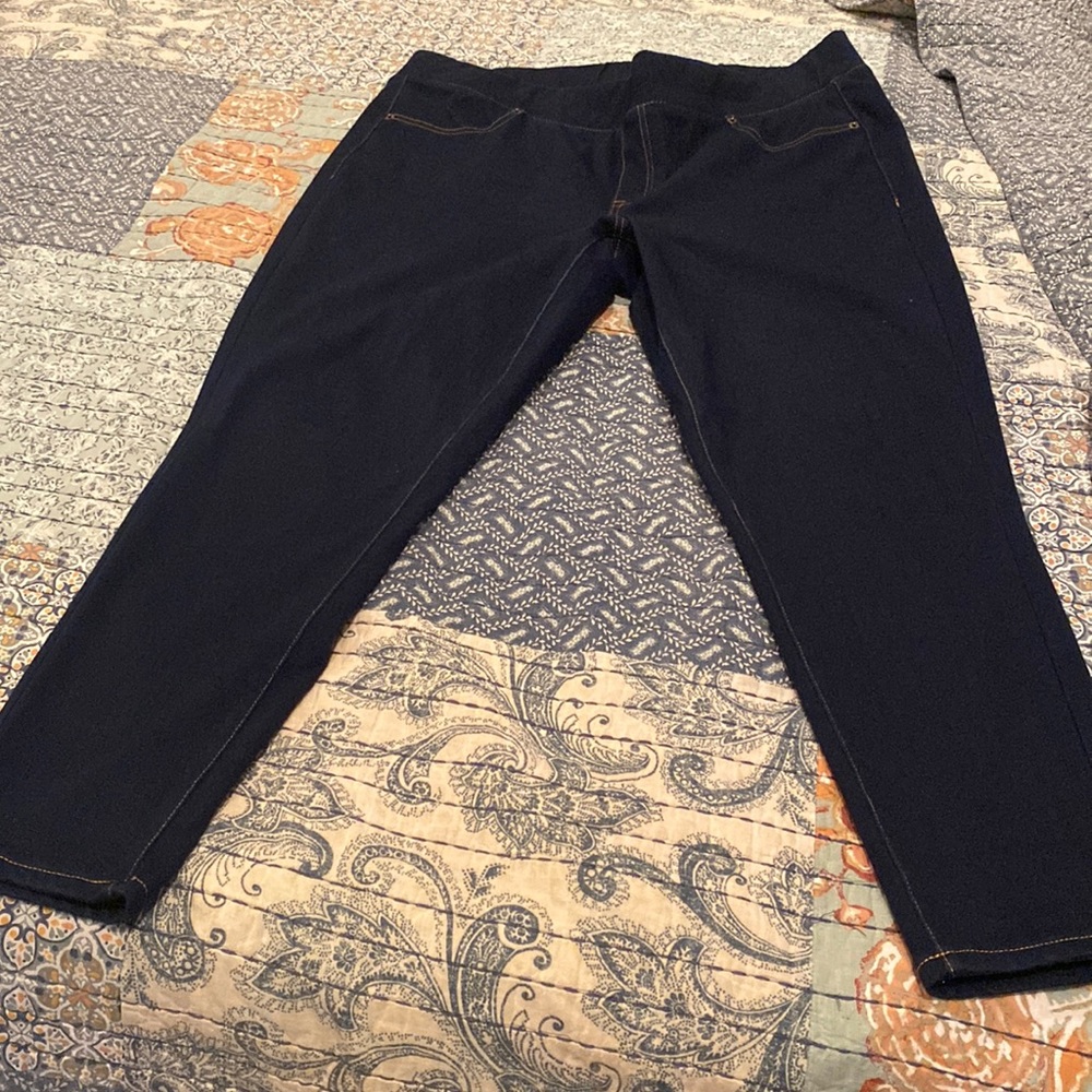 Venezia from Lane Bryant Dark Wash Jeggings